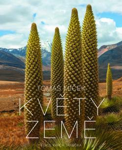 Kv�ty Zem�