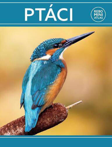 Pt�ci miniatlas