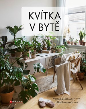Kv�tka v byt�