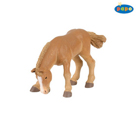 H��b� boulo�sk�ho kon� PAPO