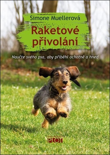 Raketov� p�ivol�n�