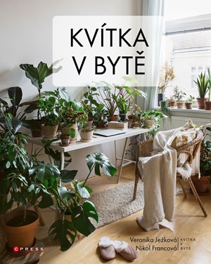 Kv�tka v byt�