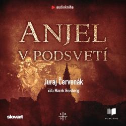 Audiokniha Anjel v podsvet� (Barbari� a Stein 7)