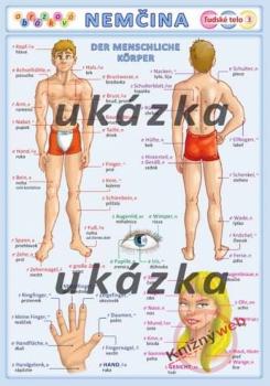 Obr�zkov� nem�ina 3 - �udsk� telo