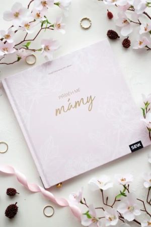 Pam�tn� kniha pro m�mu - P��b�h m� m�my