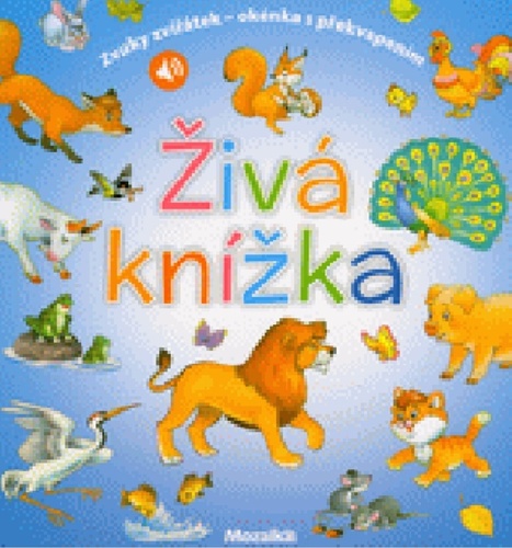 �iv� kn�ka MOZAIKA