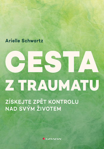 Cesta z traumatu