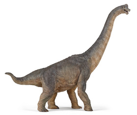 Brachiosaurus PAPO
