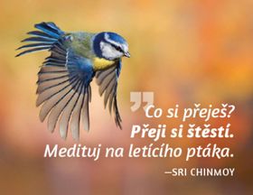 Magnet na lednici Medituj na �t�st�