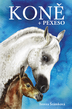 Kon� + pexeso