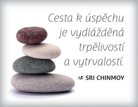 Magnet na lednici Cesta k �sp�chu