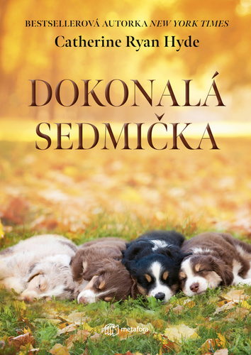 Dokonal� sedmi�ka
