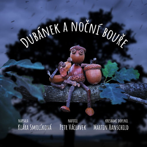 Dub�nek a no�n� bou�e