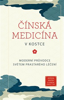 ��nsk� medic�na v kostce