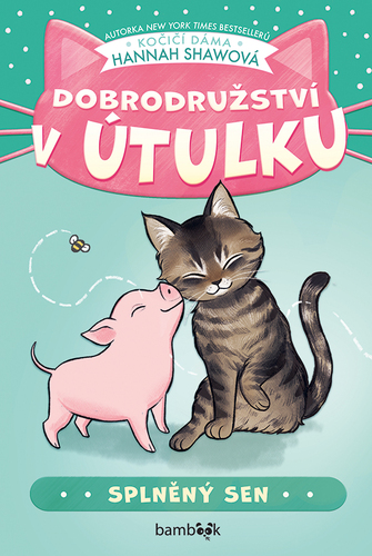 Dobrodru�stv� v �tulku Spln�n� sen