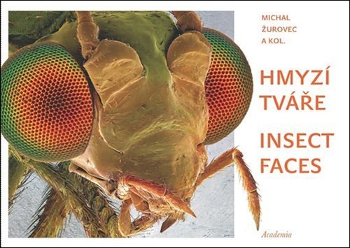 Hmyz� tv��e / Insect faces