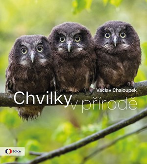 Chvilky v p��rod�