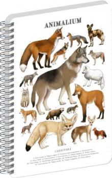 �pir�lov� blok Animalium � Psovit� �elmy, linajkovan�, A4