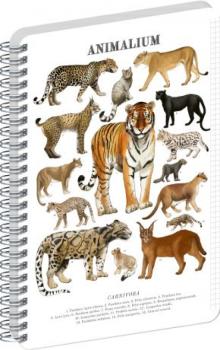 �pir�lov� blok Animalium � Ma�kovit� �elmy, �tvor�ekovan�, A5
