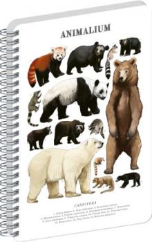 �pir�lov� blok Animalium � Medve�ovit� �elmy, �ist�, A5
