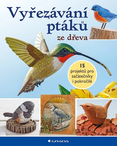 Vy�ez�v�n� pt�k� ze d�eva