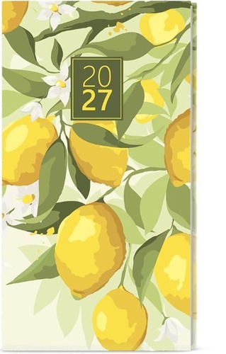 Di��27 T�d Jakub Lamino kap Citron B�K