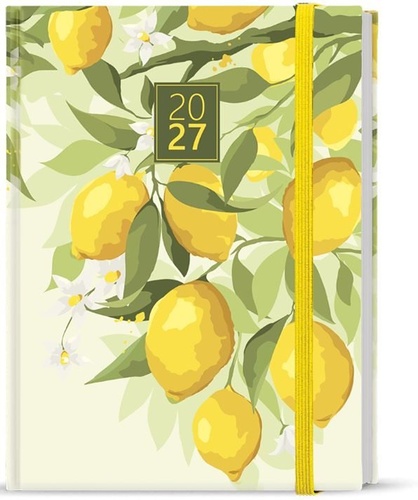 Di��27 T�d Prokop Lamino B6 Citron B�K