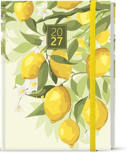 Di��27 Denn� Adam Lamino B6 Citron B�K