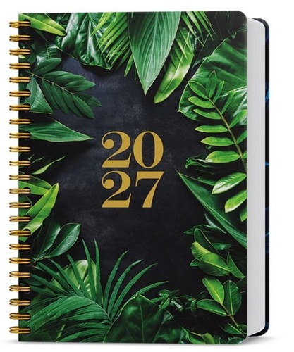 Di��27 Denn� David Twin Listy B�K