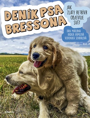 Den�k psa Bressona