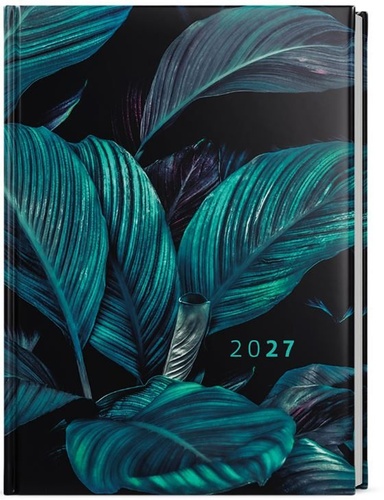 Di��27 T�d Tom� Lamino A4 Tropic B�K