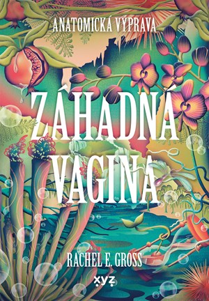 Z�hadn� vagina