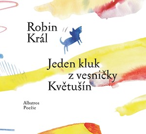 Jeden kluk z vesni�ky Kv�tu��n