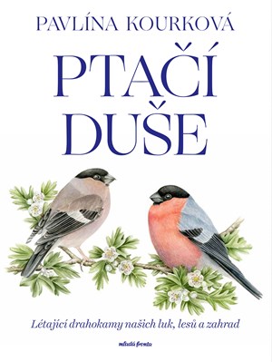 Pta�� du�e