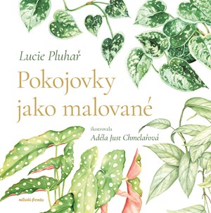 Pokojovky jako malovan� 