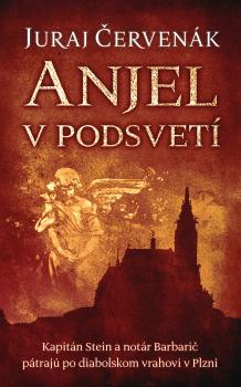 Anjel v podsvet� (Barbari� a Stein 7)