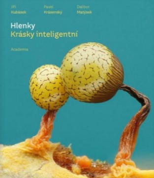 Hlenky