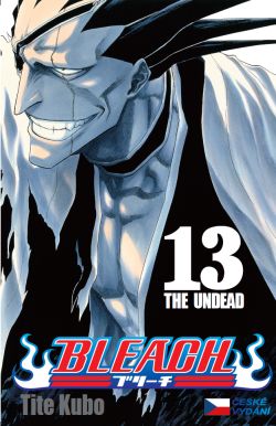 Bleach 13