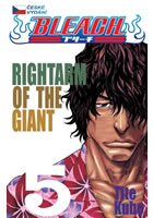Bleach 5