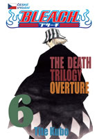 Bleach 6