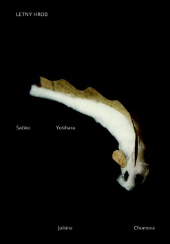 Letn� hrob