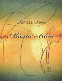 Miesto v tr�ve