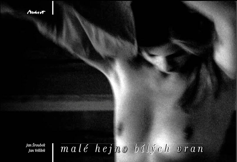 Mal� hejno b�l�ch vran