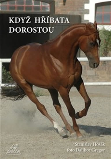 Kdy� h��bata dorostou