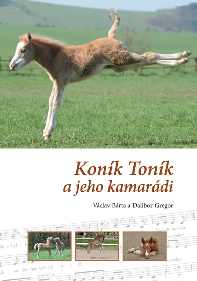 Kon�k Ton�k a jeho kamar�di