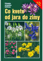 Co kvete od jara do zimy