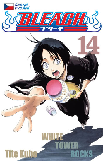 Bleach 14