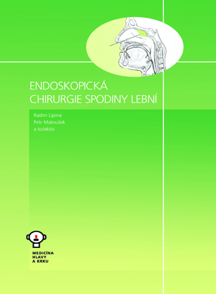 Endoskopick� chirurgie spodiny lebn�