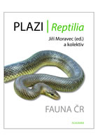 Plazi/ Reptilia ACADEMIA