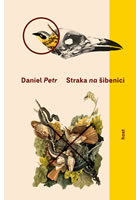 Straka na �ibenici